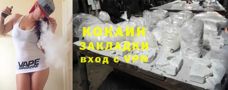 Cocaine Fish Scale  мориарти состав  Серафимович  где найти наркотики 